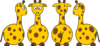 Cartoon Giraffe From All Sides Clip Art